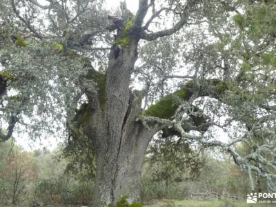 Sabinar de Arlanza y Villa Romana de Santa Cruz;material imprescindible para senderismo que debe lle